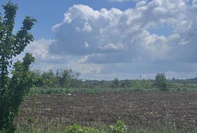 Teren de 7800 mp, în Central - 2