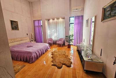 Duplex cu 9 camere cu Canalizare în Albert - 46