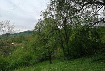 Teren de 714 mp, în Iedera - 1
