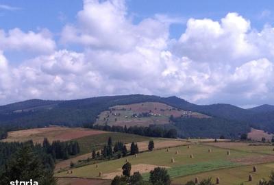 Teren de 2922 mp, în Arieșeni - 3