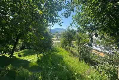 Vanzare casa locuibila in Frasin Gura Humorului - vedere panoramica/utilitati - 5