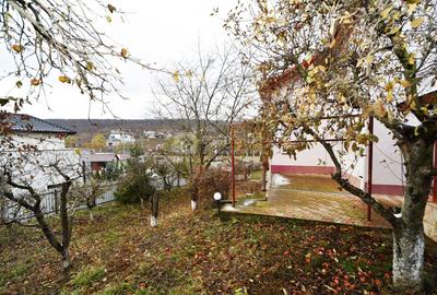 Aroneanu - Sorogari, proprietate excelent pozitionata, de vanzare - 19