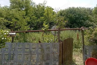 Casă cu 3 camere în Dragoș Vodă - 5