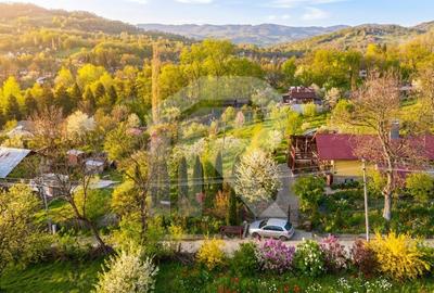 Teren Construcții intravilan de 1626 mp, în Slănic - 2