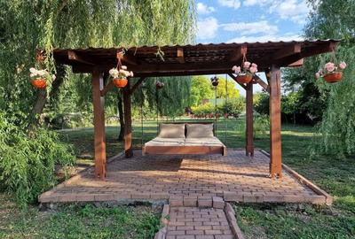 Casă cu 7 camere cu Teren 4000 Mp în Conacu - 5