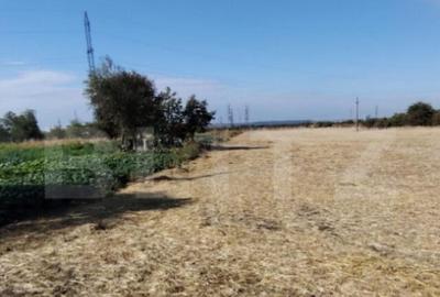 Teren Isalnita intravilan, 2500 mp, toate utilitatile - 1