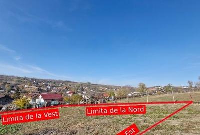 🏡 Teren intravilan 1308 mp Rediu | 9 min (5.8km) Copou / 9 min (5.8km) Pacurari - 4