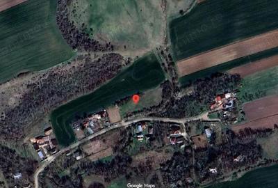 Cota de 1/4 dinteren extravilan- com. Buzoesti, jud. Arges - 6