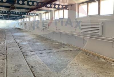 Spatiu industrial de inchiriat in Cristian, Sibiu - 6