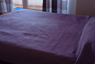 Penthouse cu 2 camere semidecomandat în Florești - 2