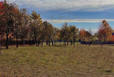 Teren de 1559 mp, în Brebu - 7