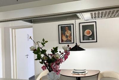 Apartament 1 camera- Spitalul Municipal Timisoara- de inchiriat - 10