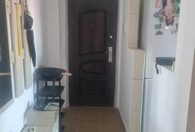 Apartament 2 camere nedecomandat 50 mp Etaj 4 ?arpanta la scara Priveli?te Mun?ii Parang - 9