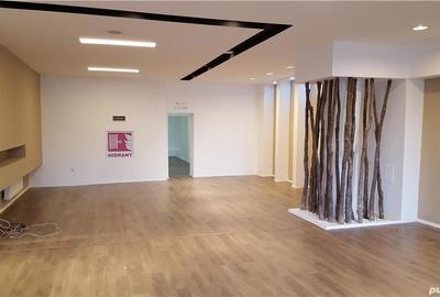 Spațiu comercial, de 904 mp, în Zorilor - 5