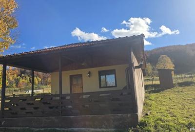 Vand casa in Dami? - 3