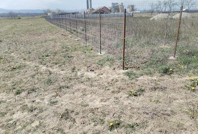 Teren de 5500 mp, în Ruși-Ciutea - 3