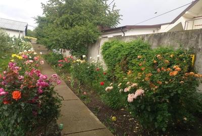 Bacau ,  Vila, la 5 minute de Centrul Orasului - 6