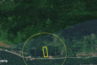 Teren de 1413 mp, în Vețel - 7