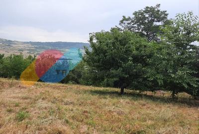 Teren Construcții intravilan de 2000 mp, în Iris - 2