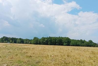 Teren in Rasnov,Glejerie-Via Transilvanica - 8