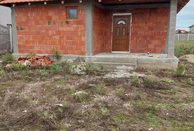 Casă cu 2 camere cu Teren 987 Mp în Peciu Nou - 1