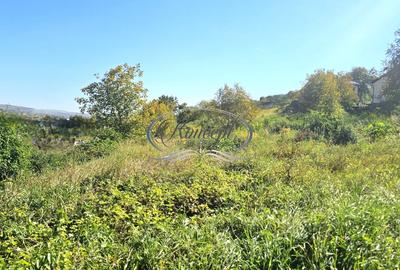 Teren intravilan cu front generos in cartierul Gruia - 2