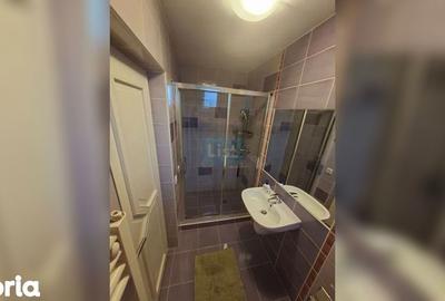 Apartament cu 3 camere decomandat, mobilat în Bună Ziua - 2