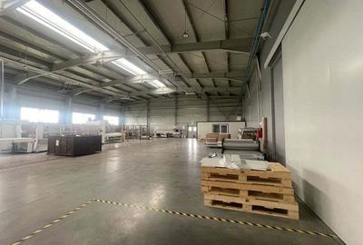 Hala de inchiriat - 3