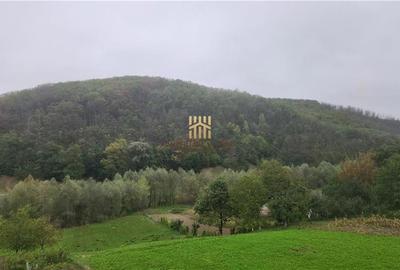 Casă cu 8 camere cu Teren 147 Mp în Pătrăuți - 10