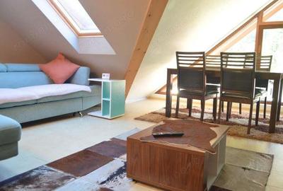 Apartament cu doua camere situat in Busteni - 2