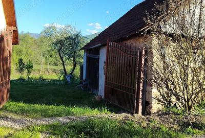 Teren 800 mp in Sarmizegetusa, cu anexa veche (demolabila), u?or in panta - 1