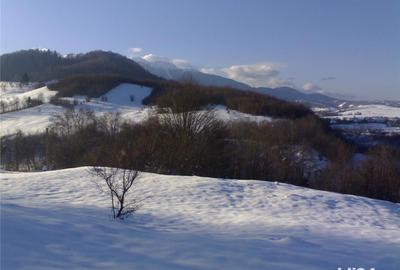 Teren de 10000 mp, în Glăjărie