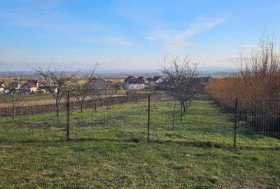 Casă cu 4 camere cu Teren 4600 Mp în Fărcașa - 1