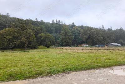 Teren intravilan de vanzare 2.000 mp, Cristian - Bra?ov. - 4