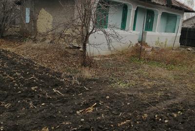 Vand casa + teren 2030 mp Vand casa + teren 2030 mp - 7