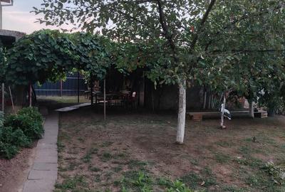 Apartament cu 2 camere decomandat în Remetea Mare - 2