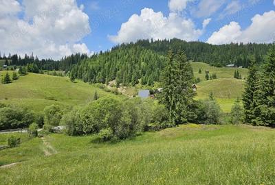 Teren de 36255 mp, în Breaza - 4