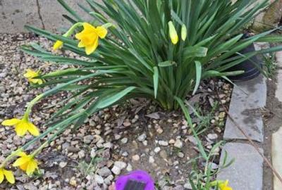 Casă cu 4 camere cu Teren 84 Mp în Central - 6