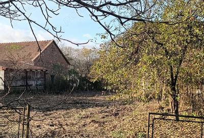 Vand casa in Mihaiesti jud.Hunedoara .Detali la tel. . - 10