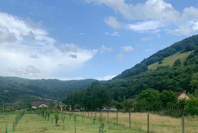 Spațiu comercial, în Rus - 3