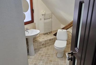 Apartament cu 3 camere decomandat în Ultracentral - 5