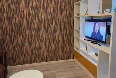 Apartament cu 2 camere semidecomandat, mobilat în Podu Roș - 6