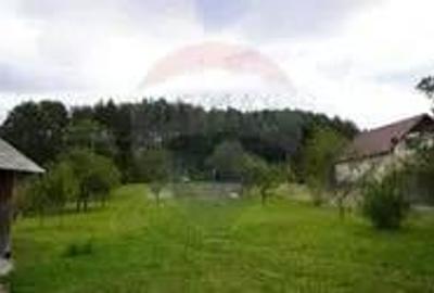 Teren 5,037mp Sighetu Marmatiei / Strada Lazu Baciului - 4