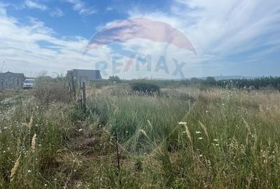 Teren Construcții intravilan de 923 mp, în Golești - 2