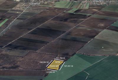Teren de 25000 mp, în Butimanu - 2