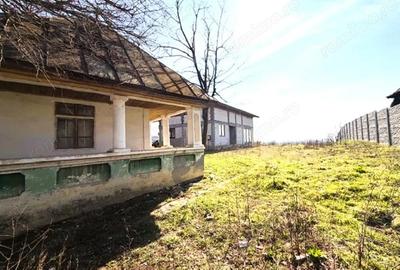 Casă cu Teren 1490 Mp în Proaspeți - 10
