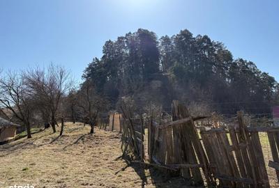 Casă cu 3 camere în Senereuș - 4