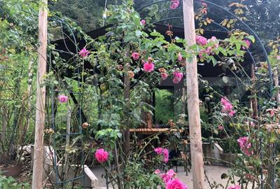 De vanzare teren intravilan in zona Schei (+cabana) - 5