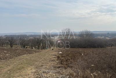 Teren Construcții intravilan de 1000 mp, în Vest - 1