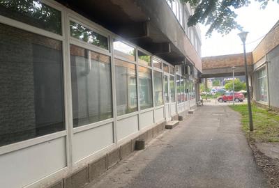 Spatiul Comercial 85 mp, Intrare separata - 3